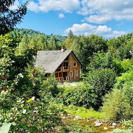 Mysynevyr - Будинок У Серці Карпат Luaran gambar